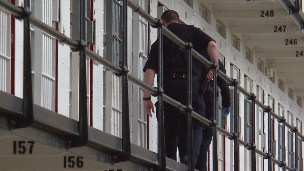 More than two dozen Georgia prisons on lockdown over security concerns following inmate fight — Dunwoody Health news
