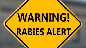 Officials urging caution after person comes into contact with rabid dog in Hall County — Dunwoody Health news
